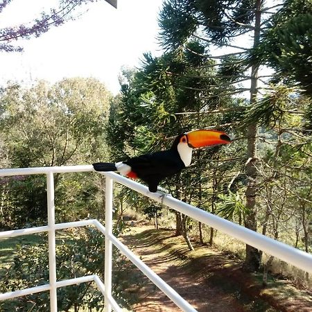 Abrigo Da Reserva Hotel Santo Antonio do Pinhal Luaran gambar