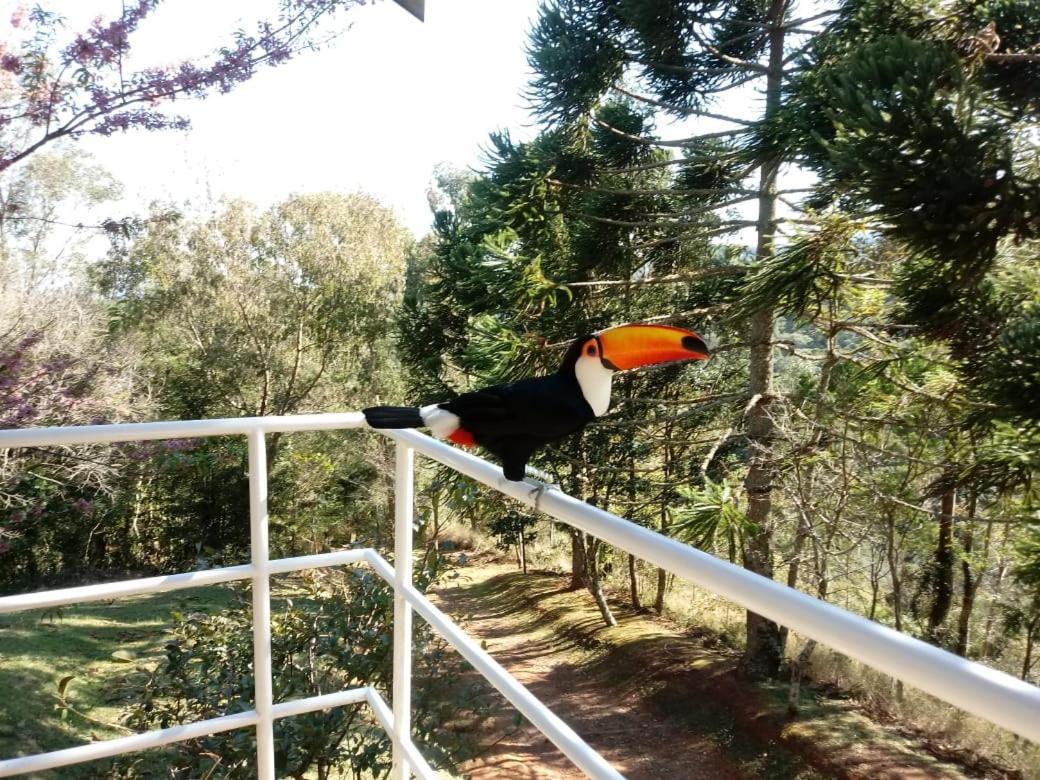 Abrigo Da Reserva Hotel Santo Antonio do Pinhal Luaran gambar